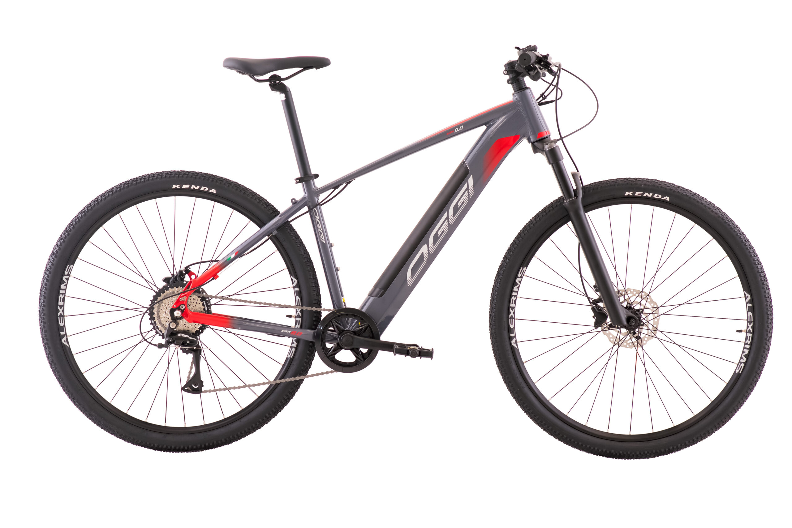E-Bike Big Wheel 8.0 - Oggi