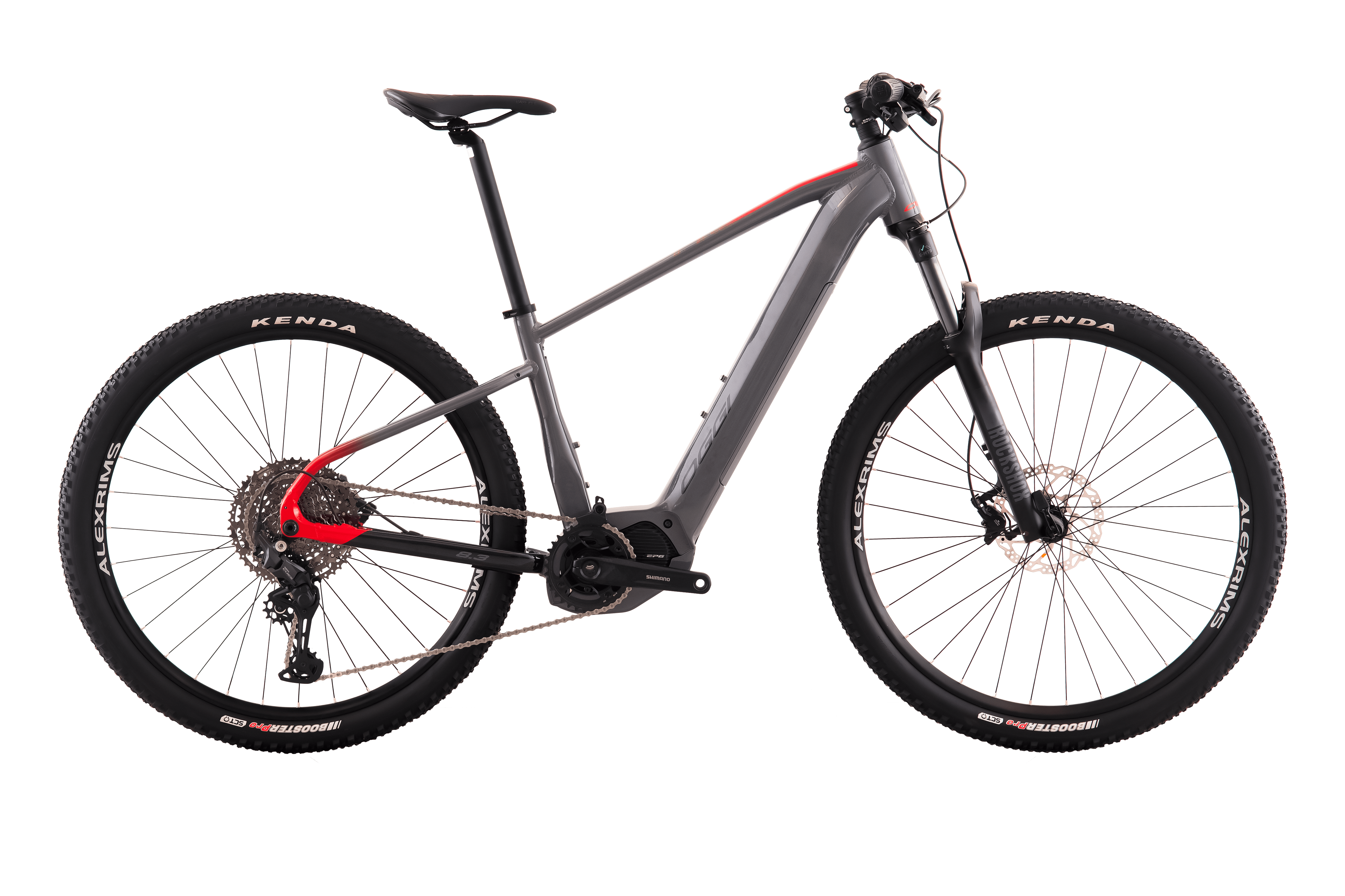E-Bike Big Wheel 8.3 - Oggi