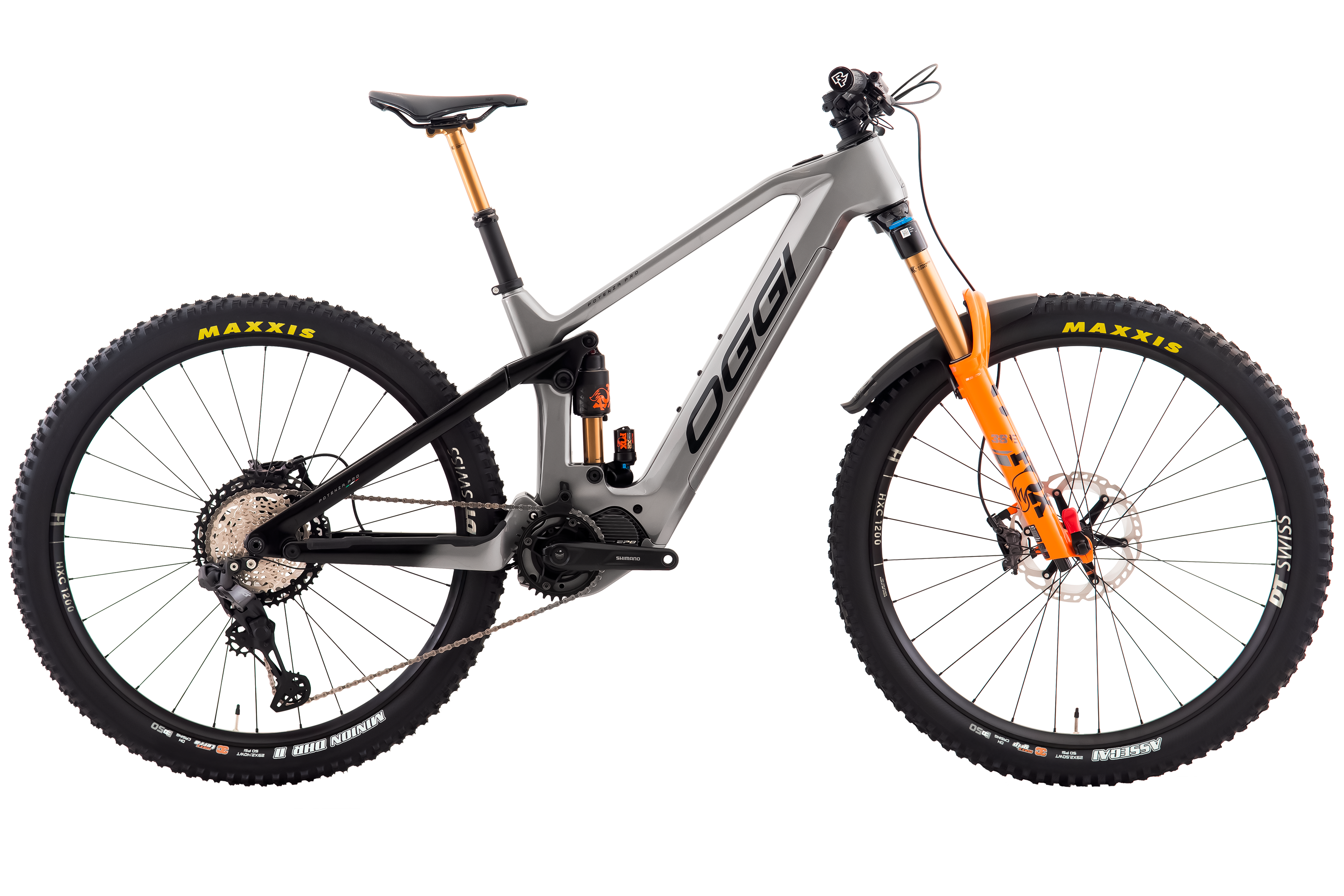 E-Bike Potenza Pro - Oggi